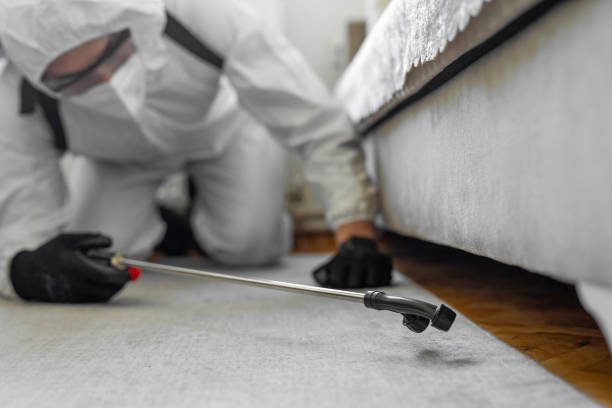 Professional Ant Control technician working in Twin Lakes, WI