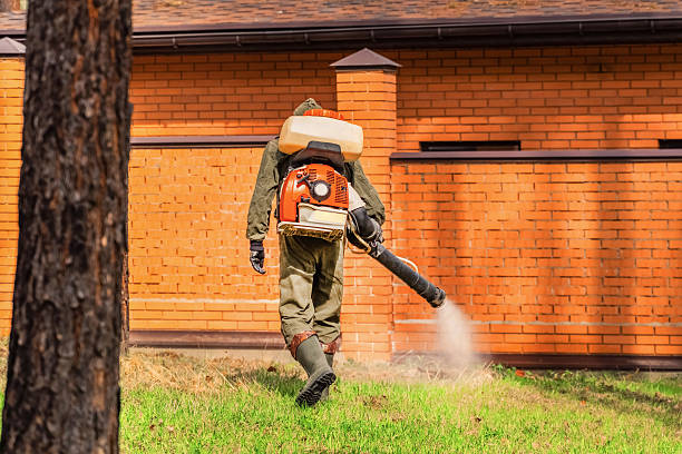 Trusted Rodent Control service in Twin Lakes, WI - Nex Pest Control